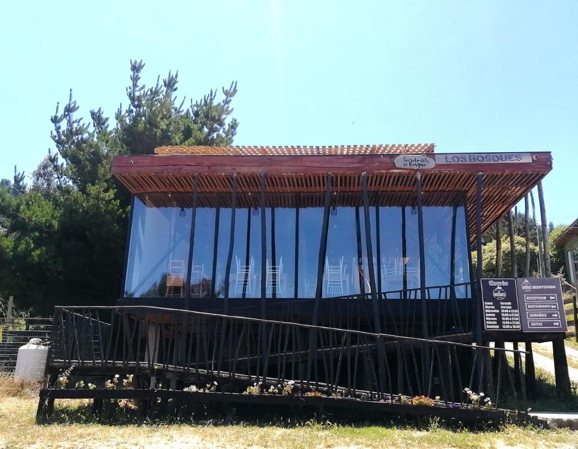 Bosques Guest house *